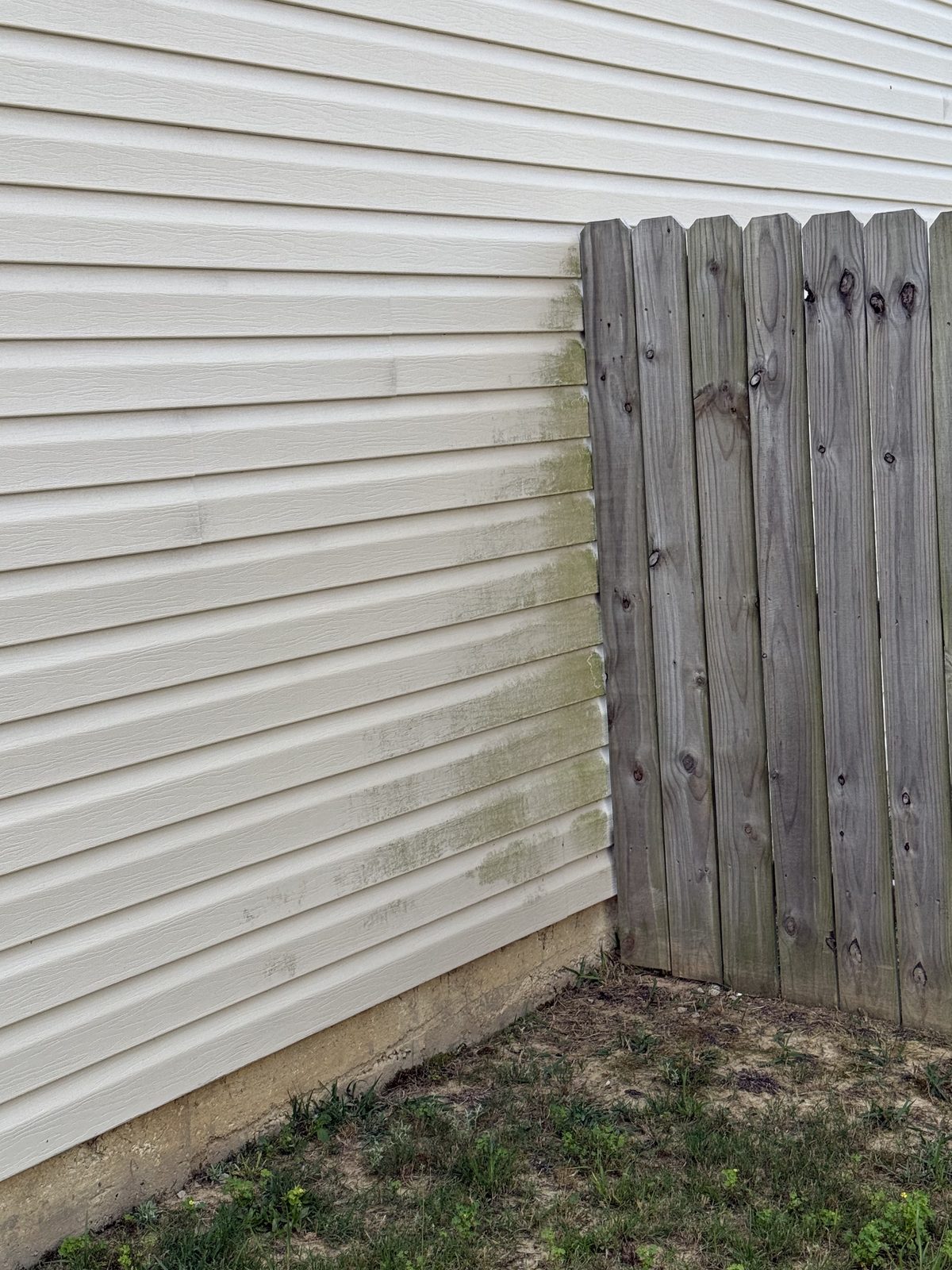 Before - Vinyl siding with green algae and mold buildup near fence line